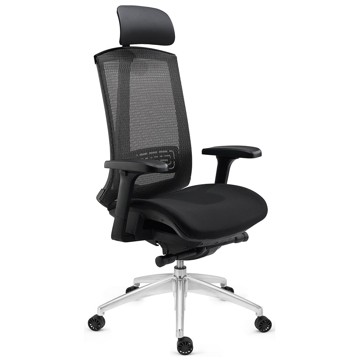 Produit Reconditionn Chaise Ergonomique Raptor Support Lombaire