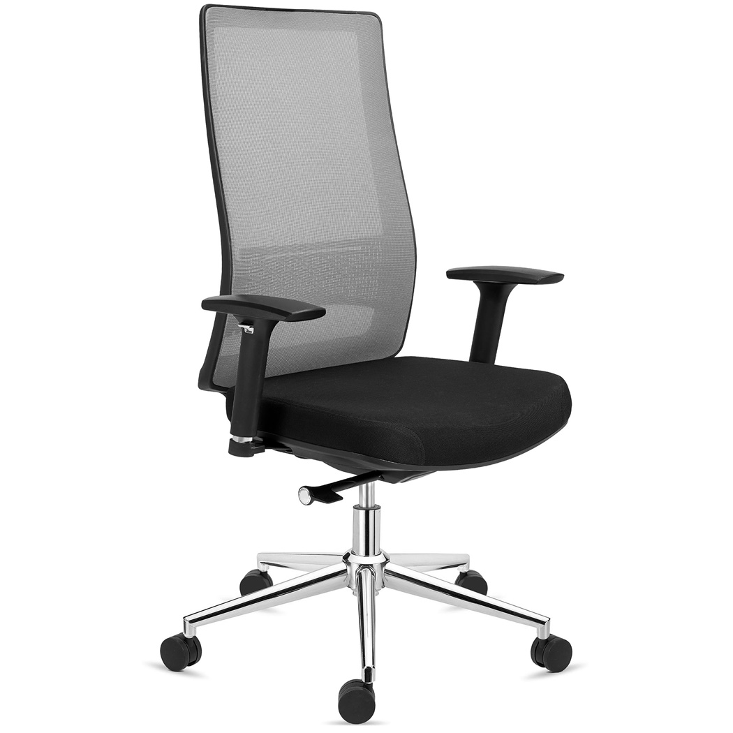 DEMO# Chaise Ergonomique SANTOS, Utilisation Professionnelle 8h, Design Élégant, en Gris