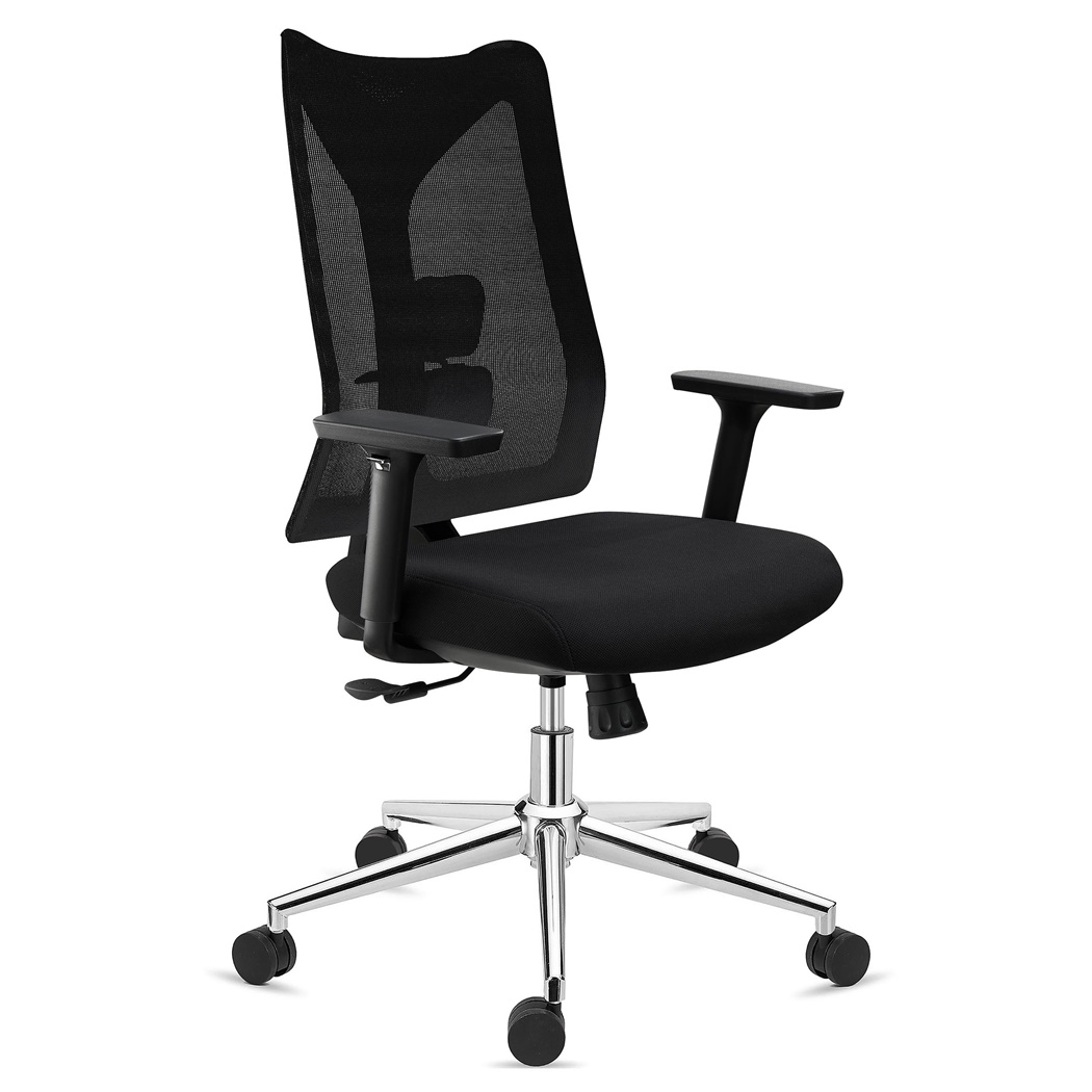 DEMO# Chaise Ergonomique ADARA, Totalement Réglable, Support Lombaire, Noir