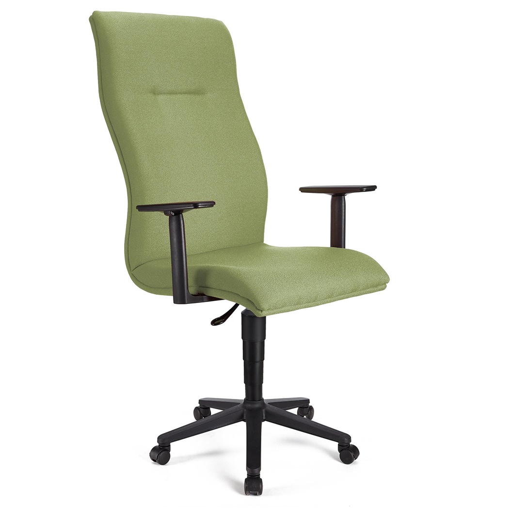 Fauteuil de bureau ANIBAL, Grand dossier, Accoudoirs Ajustables, Tissu, Vert Olive