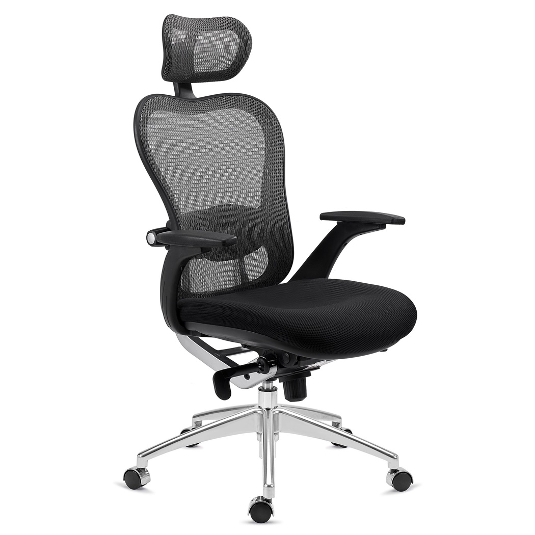 DEMO# Chaise Ergonomique ROYAL, Utilisation 8H/jour, Support Lombaire Avancé, Design Exclusif, Gris