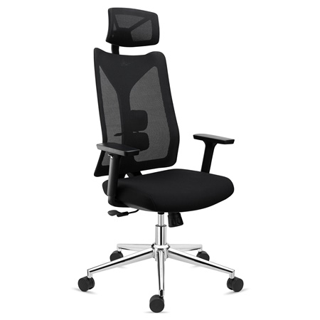 DEMO# Chaise Ergonomique ADARA, Totalement Réglable, Appui-tête, Support Lombaire, Noir