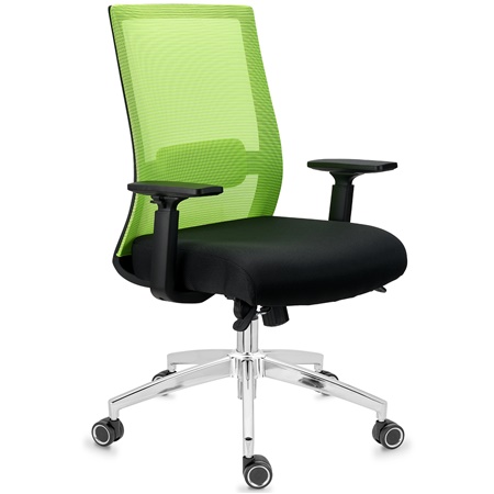 DEMO# Chaise Ergonomique NIXON, Support Lombaire, Piétement Métallique, Utilisation 8H, en Vert