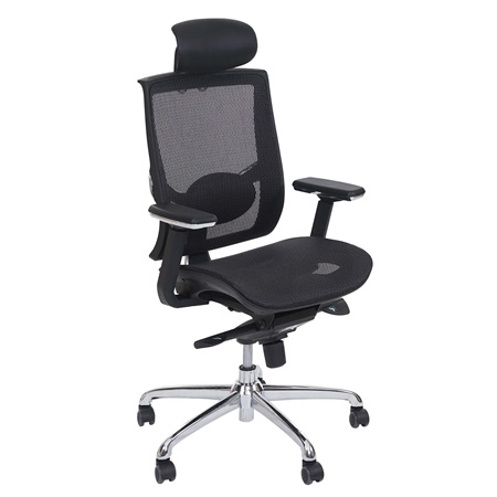 Chaise ergonomique TEIDE, Support Lombaire Ajustable, Adapté utilisation 8h, en Maille et Cuir, Noir